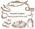 Russian cuisine. Herring under a fur coat, ingredients, vector s