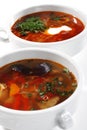 Russian Cuisine - Solyanka and Fish Soup Royalty Free Stock Photo