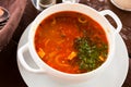 Russian cuisine - solyanka soup with various ingredients