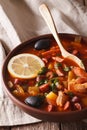 Russian cuisine soup solyanka closeup on the table. vertical Royalty Free Stock Photo