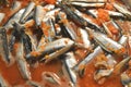 Russian cuisine: top view of conserved salade texture, sardine or mackerel in tomato sauce, fish sprats preparation.