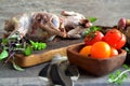 Russian cuisine with woodcock. Wild hunting fowls in cooking Royalty Free Stock Photo