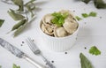 Russian dish meat dumplings on dinner Royalty Free Stock Photo