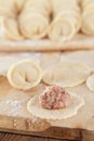 Russian dumplings, meat wrapped with pastry.