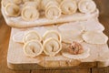 Russian dumplings, meat wrapped with pastry. Royalty Free Stock Photo