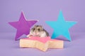 Russian dwarf hamster on a purple background Royalty Free Stock Photo