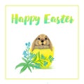 Russian easter . The character of cute rabbit sitting in the easter egg on the white background. Royalty Free Stock Photo