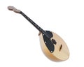 Russian folk musical instrument domra