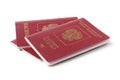 Russian foreign passports