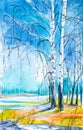 Russian forest landscape with beautiful birches in a clearing with melting snow