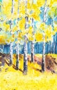 Russian forest landscape with beautiful birches in a clearing. Watercolor illustration