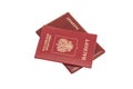 Russian Foriegn Passports Royalty Free Stock Photo