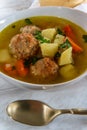 Russian Frikadeller Meatball Soup