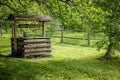 Russian green fairy tale with a water well