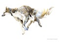 Russian Greyhound breed dog watercolor portrait. Borzoi illustration.