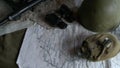 Russian gun and military map video outofdoors