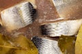 Herring, salted in pieces in its own juice.Russian herring in brine top view.