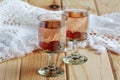 Russian homemade liquor with vodka and cranberry Royalty Free Stock Photo