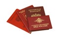 Russian identification papers Royalty Free Stock Photo