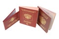 Russian identification papers Royalty Free Stock Photo