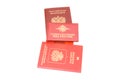 Russian identification papers Royalty Free Stock Photo