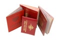 Russian identification papers Royalty Free Stock Photo