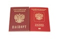 Russian identification papers Royalty Free Stock Photo