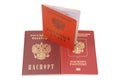 Russian identification papers Royalty Free Stock Photo