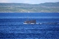 A Russian Kilo Class diesel-electric submarine is diving in Kola Bay, Russia.