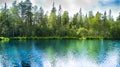 Lake among Russian forest in summer Royalty Free Stock Photo