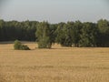 Russian landscape in the Kaluga region.