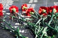 Russian language phrase `sergeant,major, colonel,lieutenant, ranker` - army ranks, flowers on the memorial to fallen soldiers, r