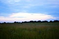 Russian meadow with wild flowers. Evening, clouds.