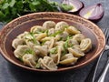 Russian meat dumplings decorated with red onions and herbs Royalty Free Stock Photo