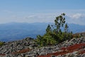 The Russian Mountain. Trees and mountain Royalty Free Stock Photo