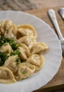 Russian National food. Close up view of traditional belorussian meal. Dumplings in white plate with green and sour. Food concept