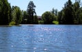 Russian nature lake forest day sun good weather Royalty Free Stock Photo