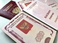 Russian Passports