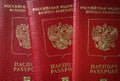 Russian passports top view, group of tourist passports of Russia