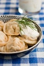 Russian pelmeni