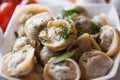 Russian pelmeni Royalty Free Stock Photo