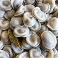 Russian pelmeni