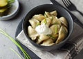 Russian pelmeni meat Dumplings with sour cream and greens Royalty Free Stock Photo