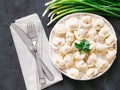 Russian pelmeni, ravioli, dumplings with meat Royalty Free Stock Photo