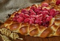 Russian pies Pirog Royalty Free Stock Photo
