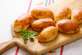 Russian pirozhki Royalty Free Stock Photo