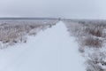 Russian provincial natural landscape in gloomy weather