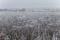 Russian provincial natural landscape in gloomy weather