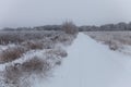 Russian provincial natural landscape in gloomy weather