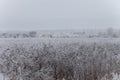 Russian provincial natural landscape in gloomy weather